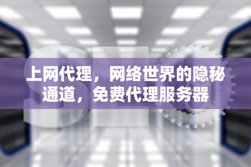 上网代理，网络世界的隐秘通道，免费代理服务器