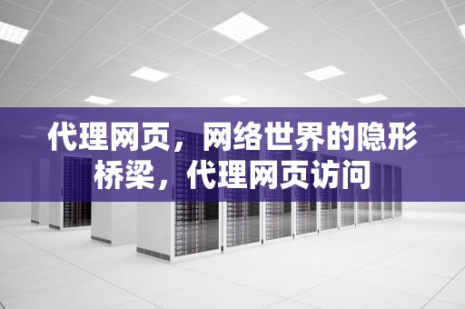 代理网页，网络世界的隐形桥梁，代理网页访问