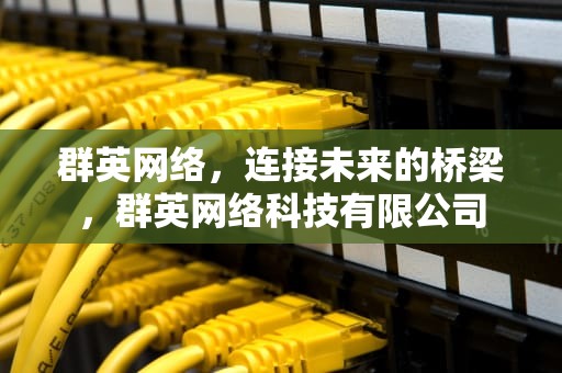 群英网络，连接未来的桥梁，群英网络科技有限公司