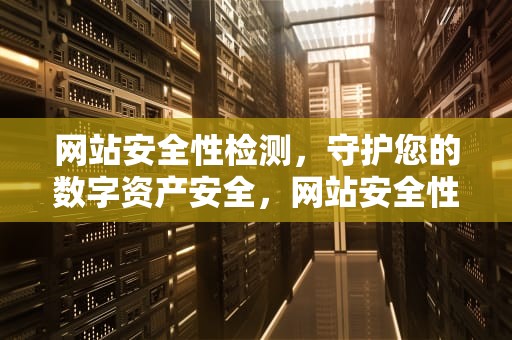 网站安全性检测，守护您的数字资产安全，网站安全性检测工具