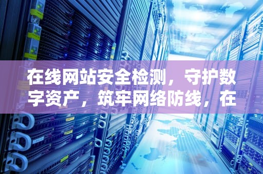 在线网站安全检测，守护数字资产，筑牢网络防线，在线网站安全检测工具