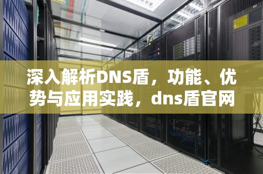 深入解析DNS盾，功能、优势与应用实践，dns盾官网