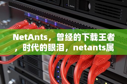 NetAnts，曾经的下载王者，时代的眼泪，netants属于什么软件