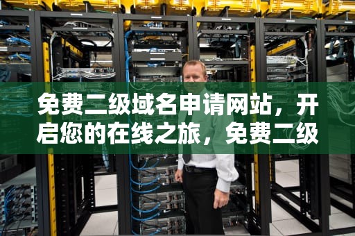 免费二级域名申请网站，开启您的在线之旅，免费二级域名申请网站在线查询
