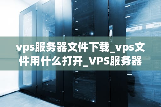 vps服务器文件下载_vps文件用什么打开_VPS服务器文件下载的全面指南