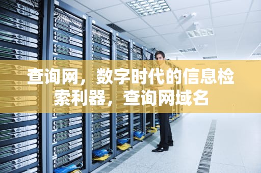 查询网，数字时代的信息检索利器，查询网域名
