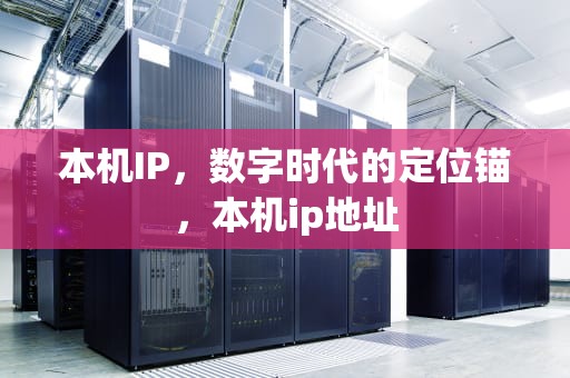 本机IP，数字时代的定位锚，本机ip地址