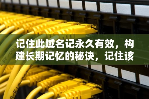 记住此域名记永久有效，构建长期记忆的秘诀，记住该域名
