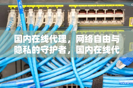 国内在线代理，网络自由与隐私的守护者，国内在线代理网页