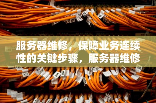 服务器维修，保障业务连续性的关键步骤，服务器维修公司哪个好