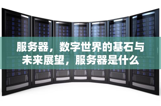 服务器，数字世界的基石与未来展望，服务器是什么