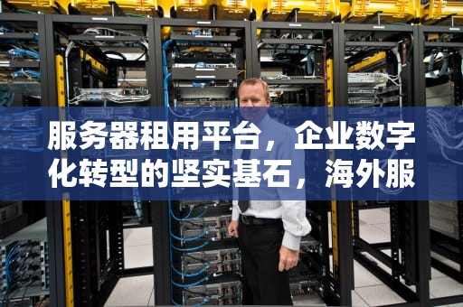服务器租用平台，企业数字化转型的坚实基石，海外服务器租用平台