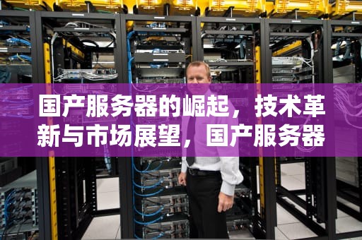 国产服务器的崛起，技术革新与市场展望，国产服务器厂商排名