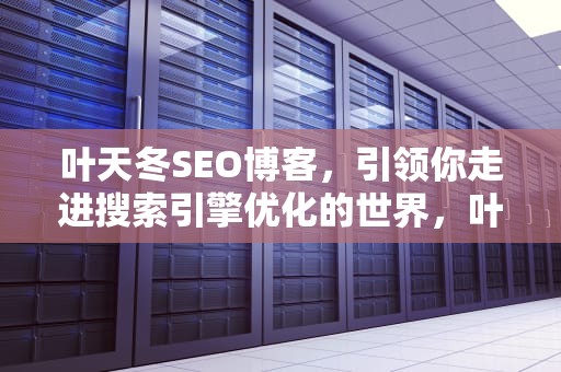 叶天冬SEO博客，引领你走进搜索引擎优化的世界，叶天资料
