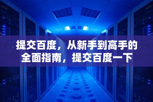 提交百度，从新手到高手的全面指南，提交百度一下
