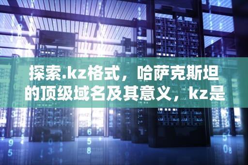 探索.kz格式，哈萨克斯坦的顶级域名及其意义，kz是什么格式