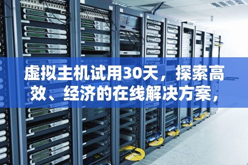 虚拟主机试用30天，探索高效、经济的在线解决方案，虚拟主机试用30天什么意思